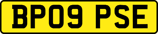 BP09PSE