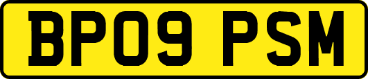 BP09PSM