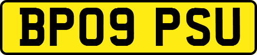 BP09PSU