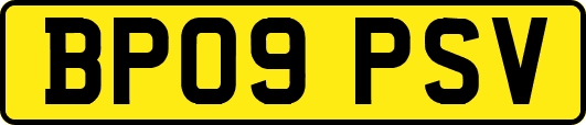 BP09PSV