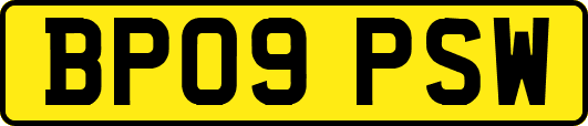 BP09PSW