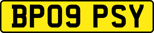 BP09PSY