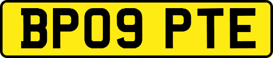 BP09PTE