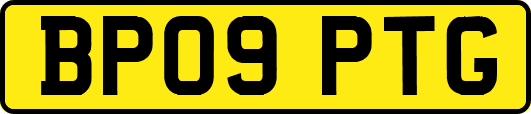 BP09PTG