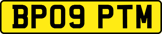 BP09PTM