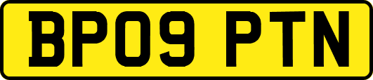 BP09PTN
