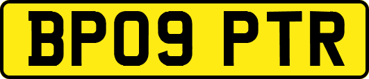 BP09PTR