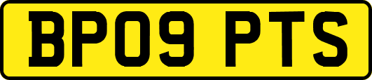 BP09PTS