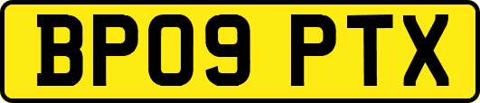 BP09PTX