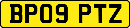 BP09PTZ