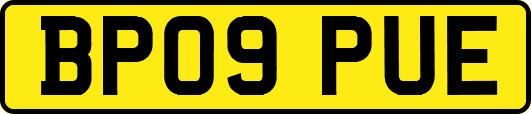 BP09PUE