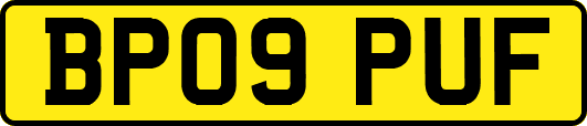 BP09PUF