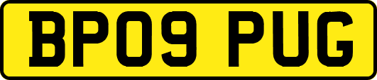 BP09PUG