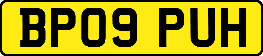 BP09PUH