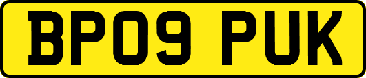 BP09PUK