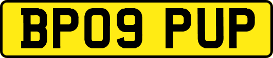 BP09PUP