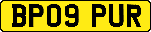 BP09PUR