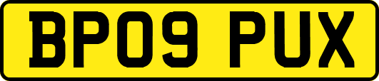 BP09PUX