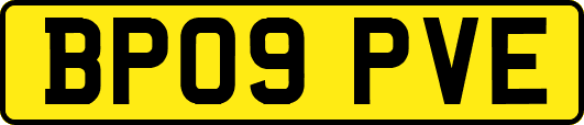 BP09PVE