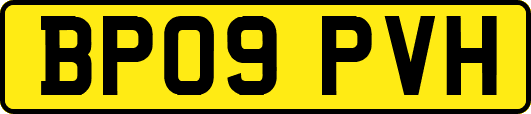 BP09PVH