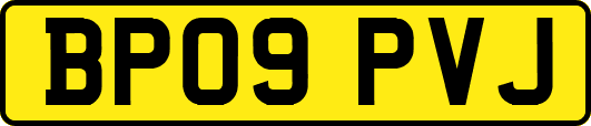 BP09PVJ