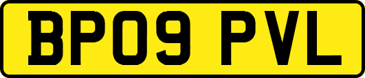 BP09PVL