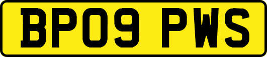 BP09PWS