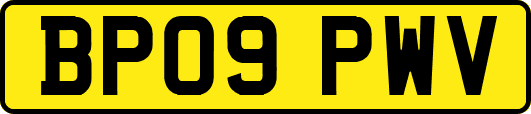 BP09PWV