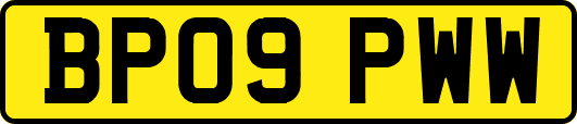 BP09PWW