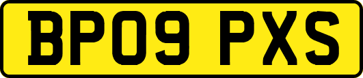 BP09PXS