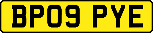 BP09PYE