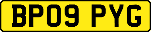 BP09PYG