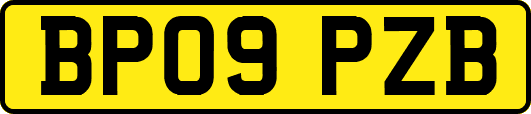 BP09PZB