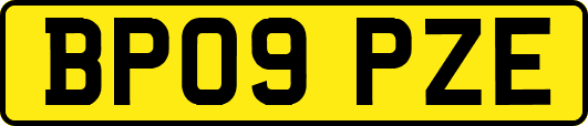 BP09PZE