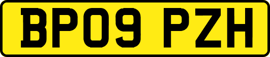 BP09PZH