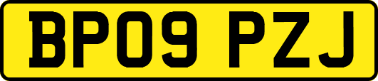 BP09PZJ