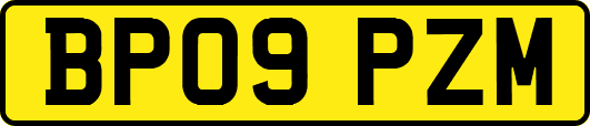 BP09PZM