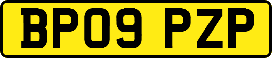 BP09PZP