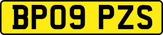 BP09PZS