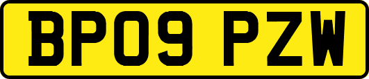 BP09PZW