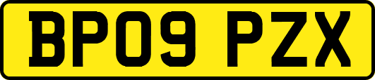 BP09PZX