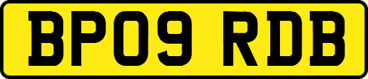 BP09RDB