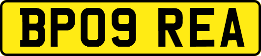 BP09REA