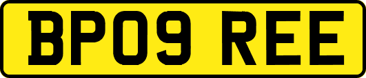 BP09REE