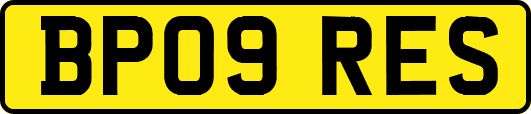 BP09RES