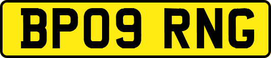 BP09RNG