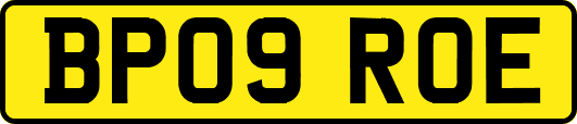 BP09ROE