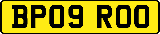 BP09ROO