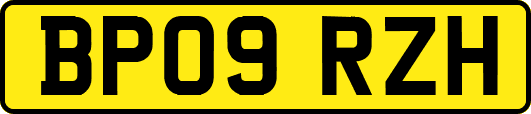 BP09RZH