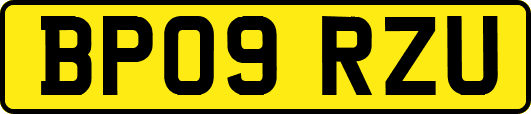 BP09RZU